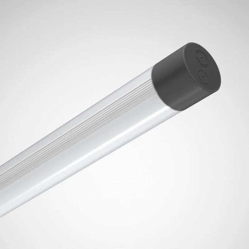 2026_06_01_925864